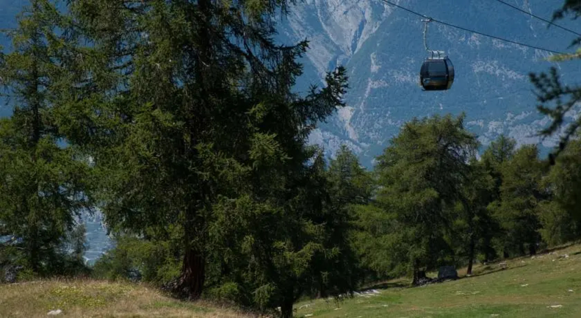 Appartements Royal 141