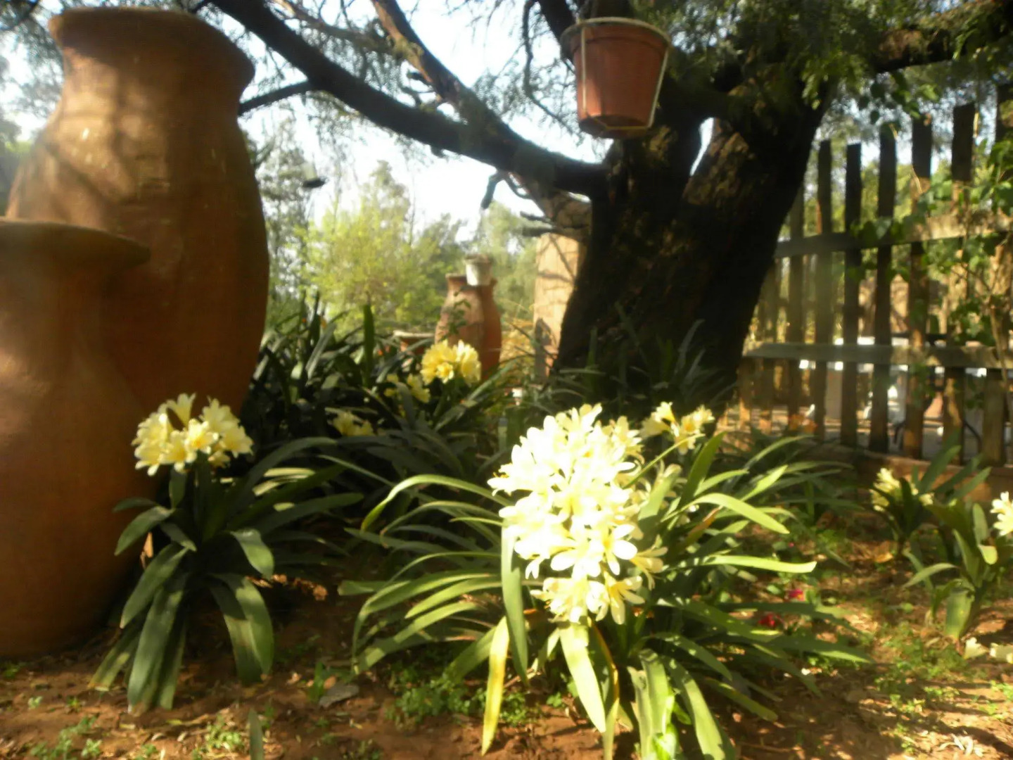 Eikenhof Country Guesthouse