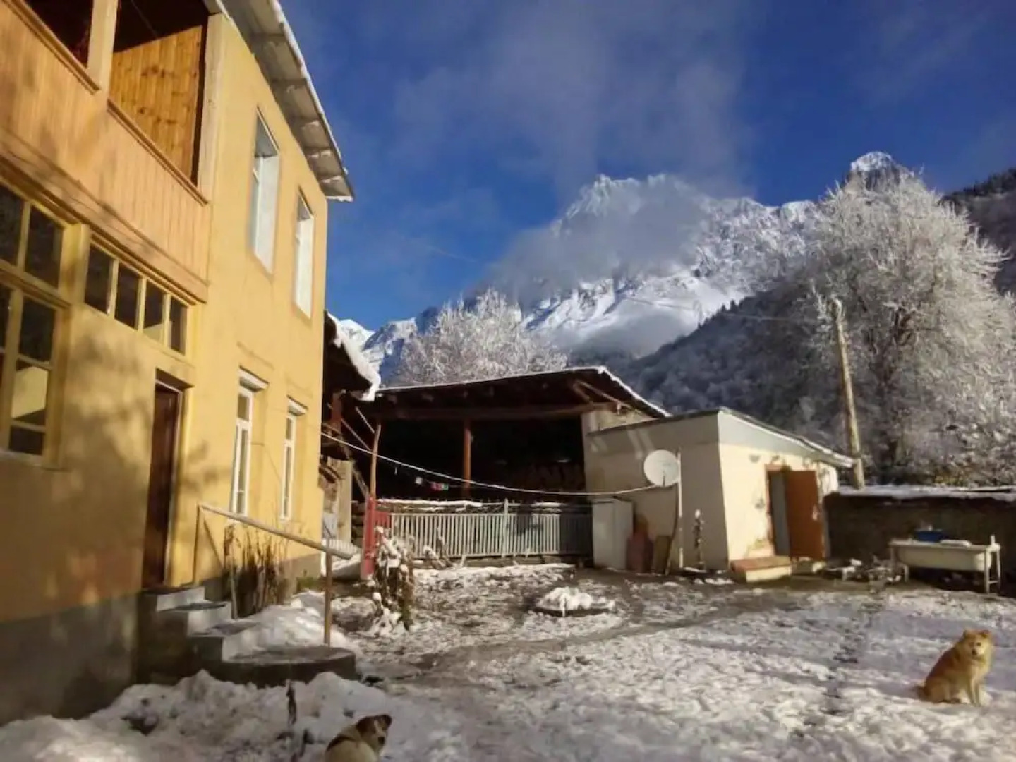 Гостевой дом Lia Jamdelianis