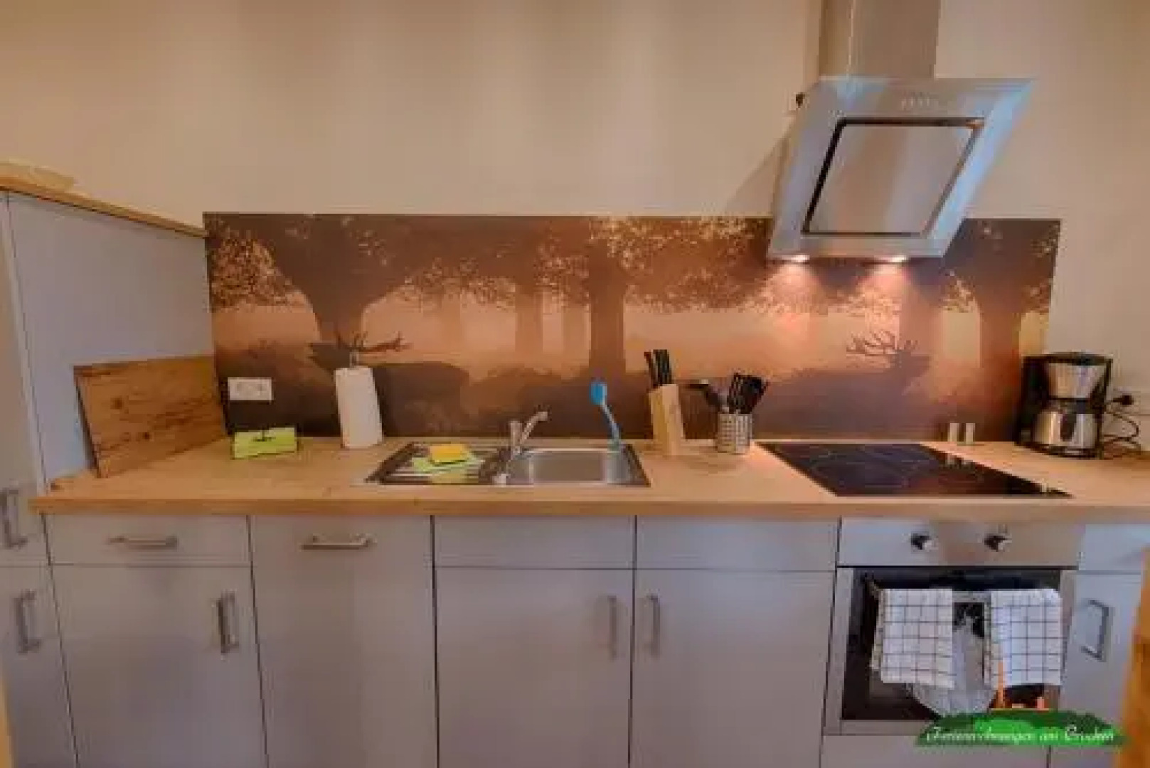 Ferienwohnungen in Schierke