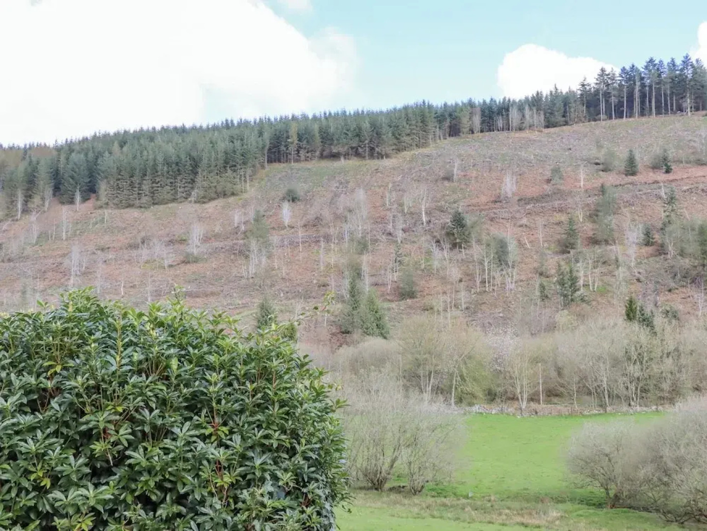 The Little White Cottage