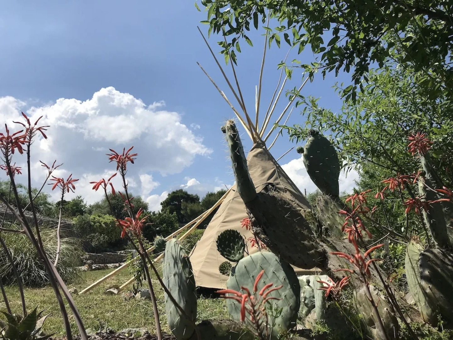 Tipi Lounge and breakfast