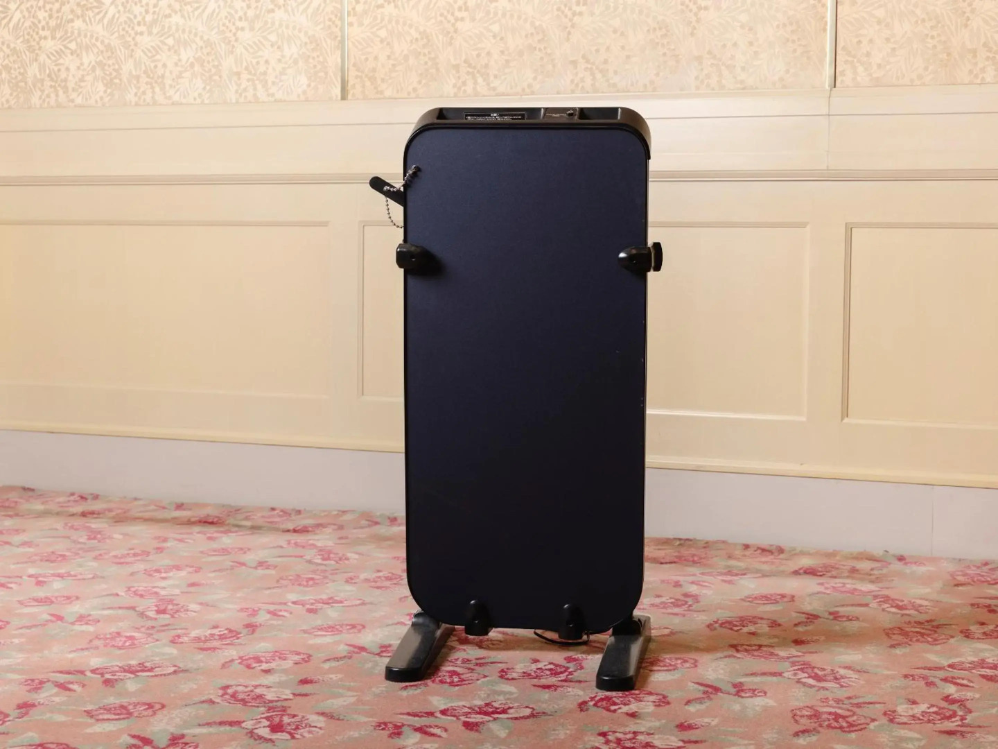 Tsubamesanjo Washington Hotel