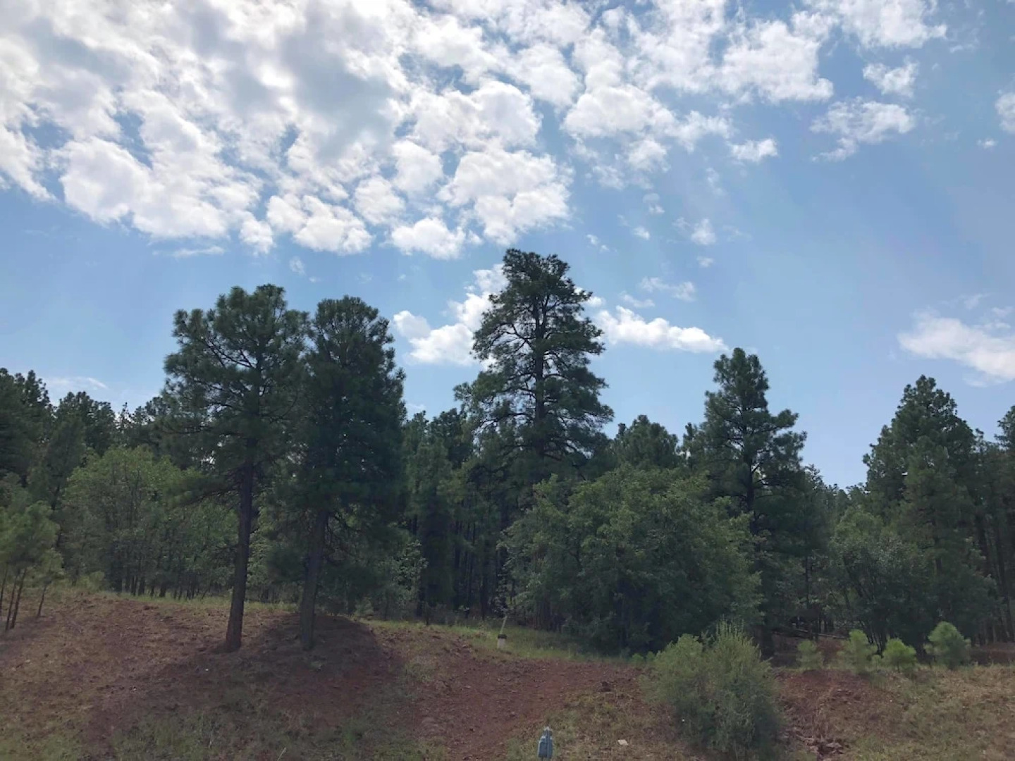 Days Inn by Wyndham Williams