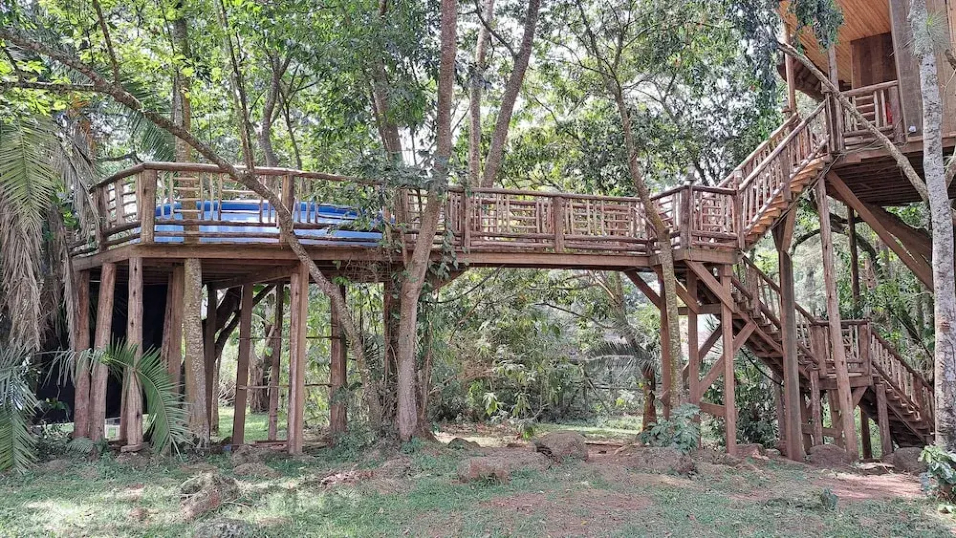 Tree House with a Pool