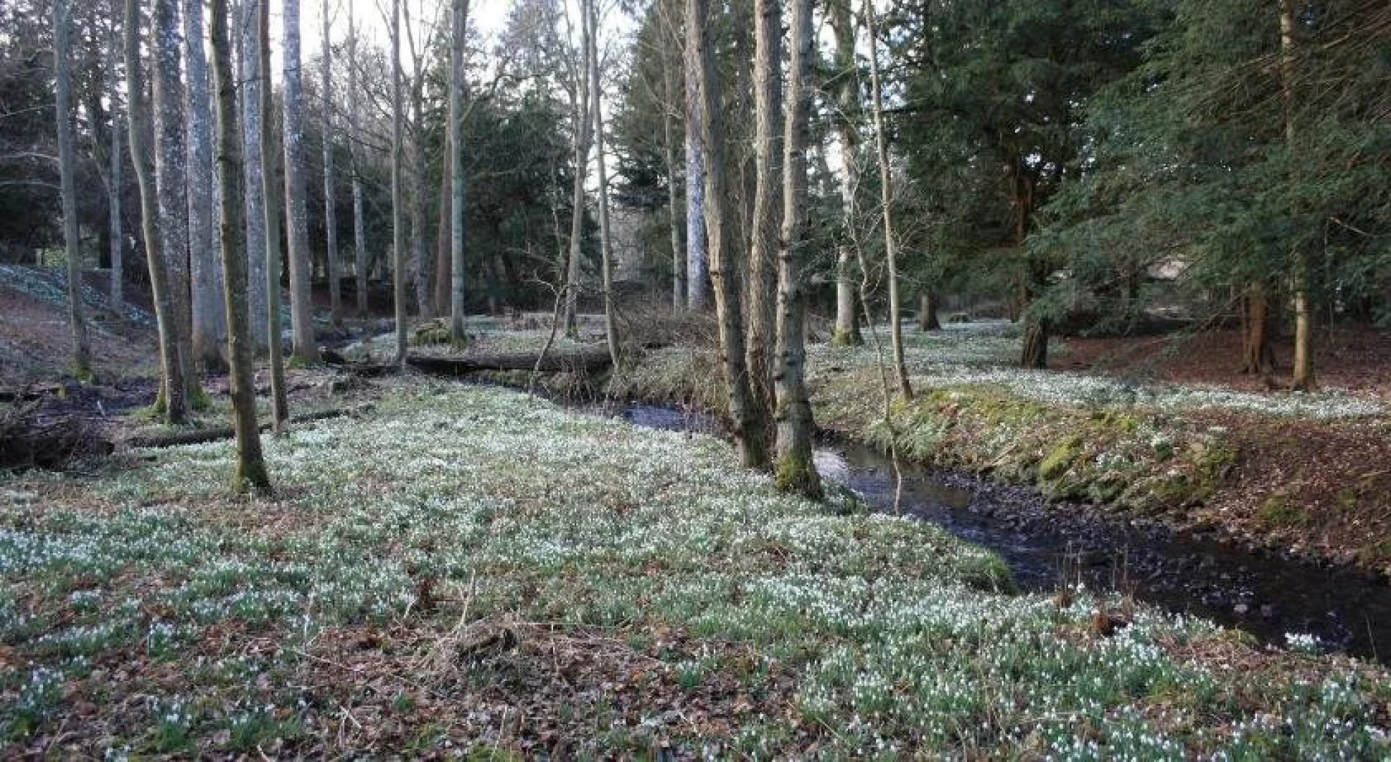 Chillingham Manor Luxury B&B