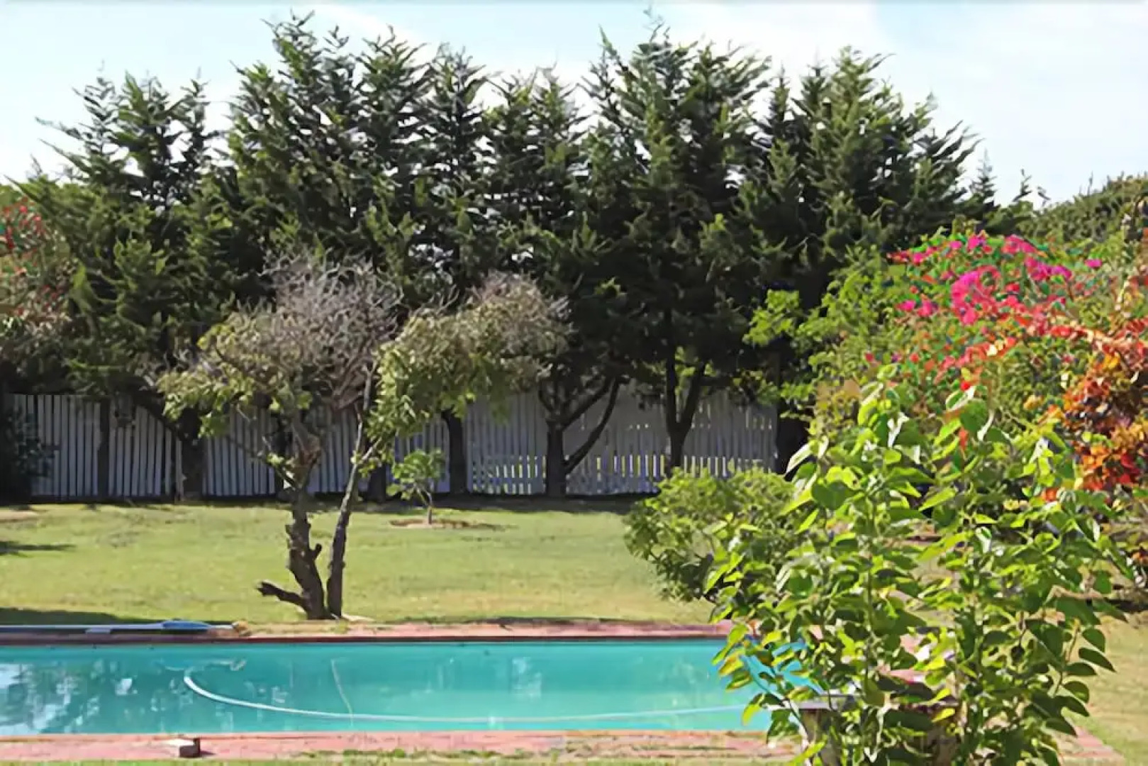 Whale Coast Guesthouse