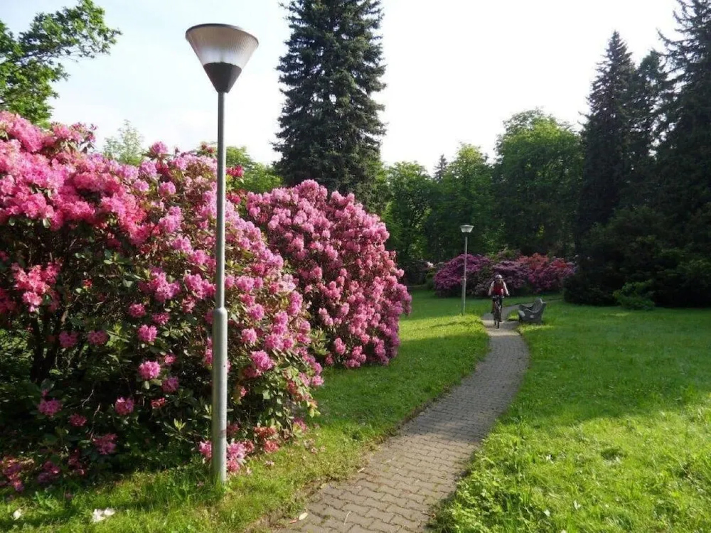 Spa Resort Libverda - Nový Dům