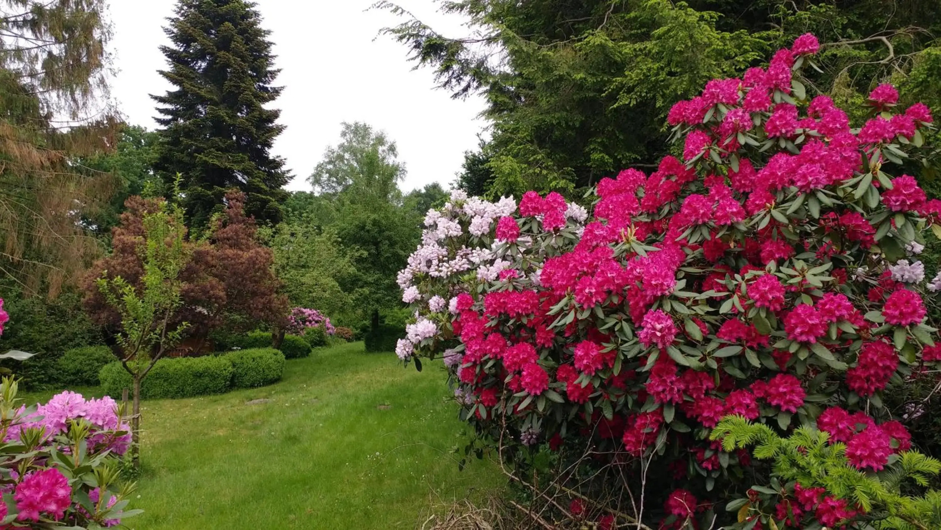 Ferienwohnung Gartenblick