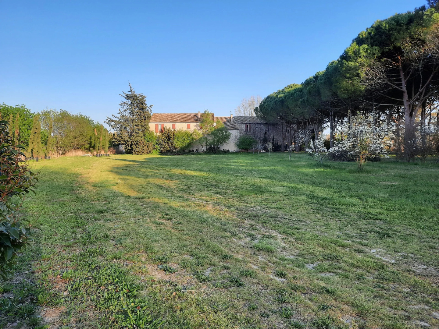 WAYA à Domaine Saint Domingue