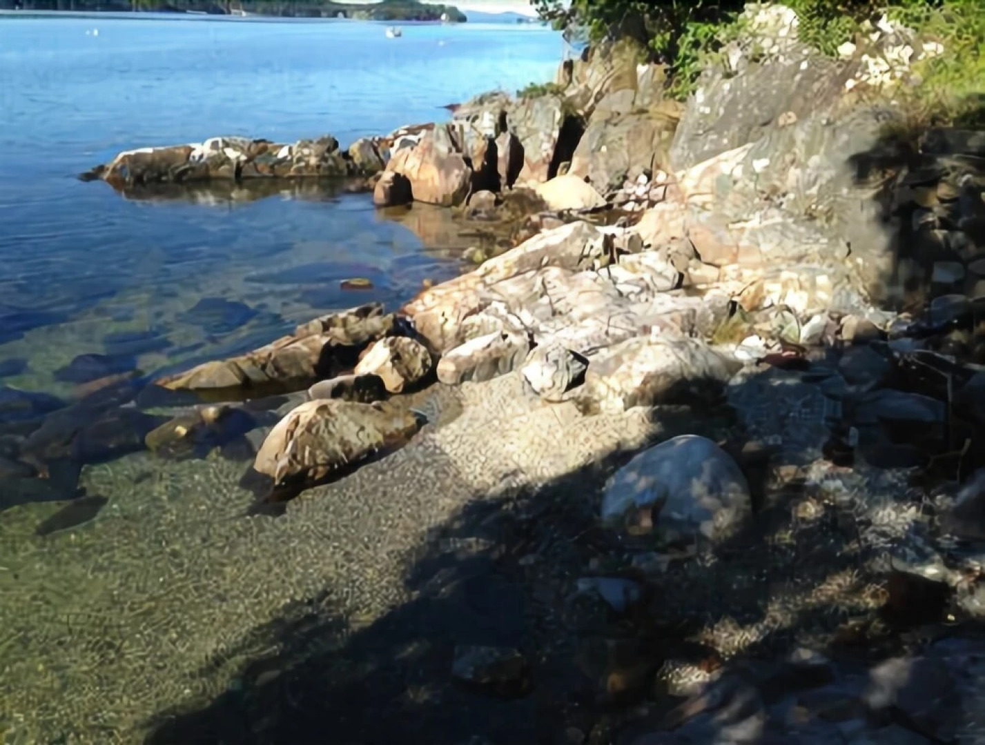 Kings Point - Two Bedroom Home