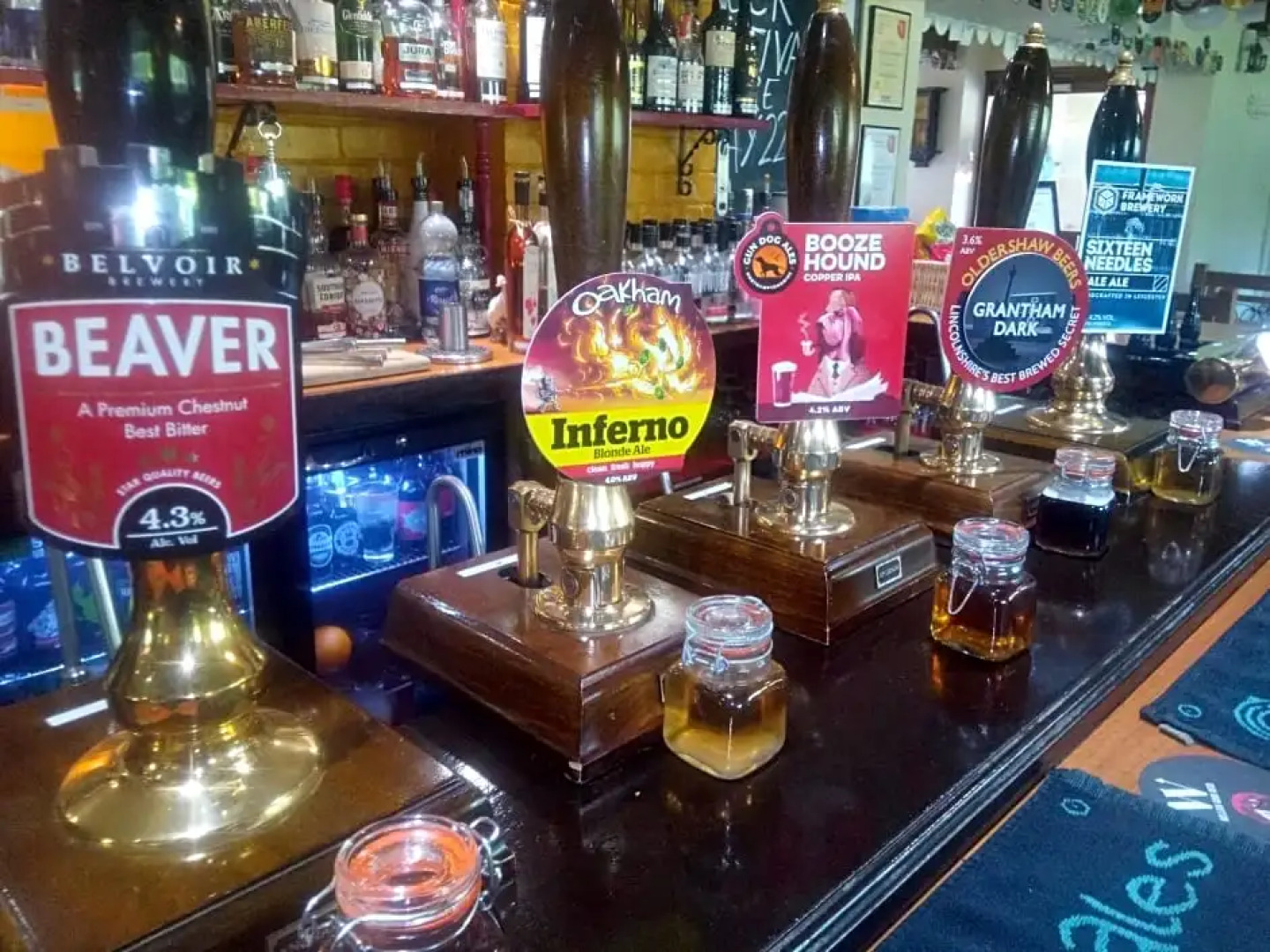 The Geese and Fountain