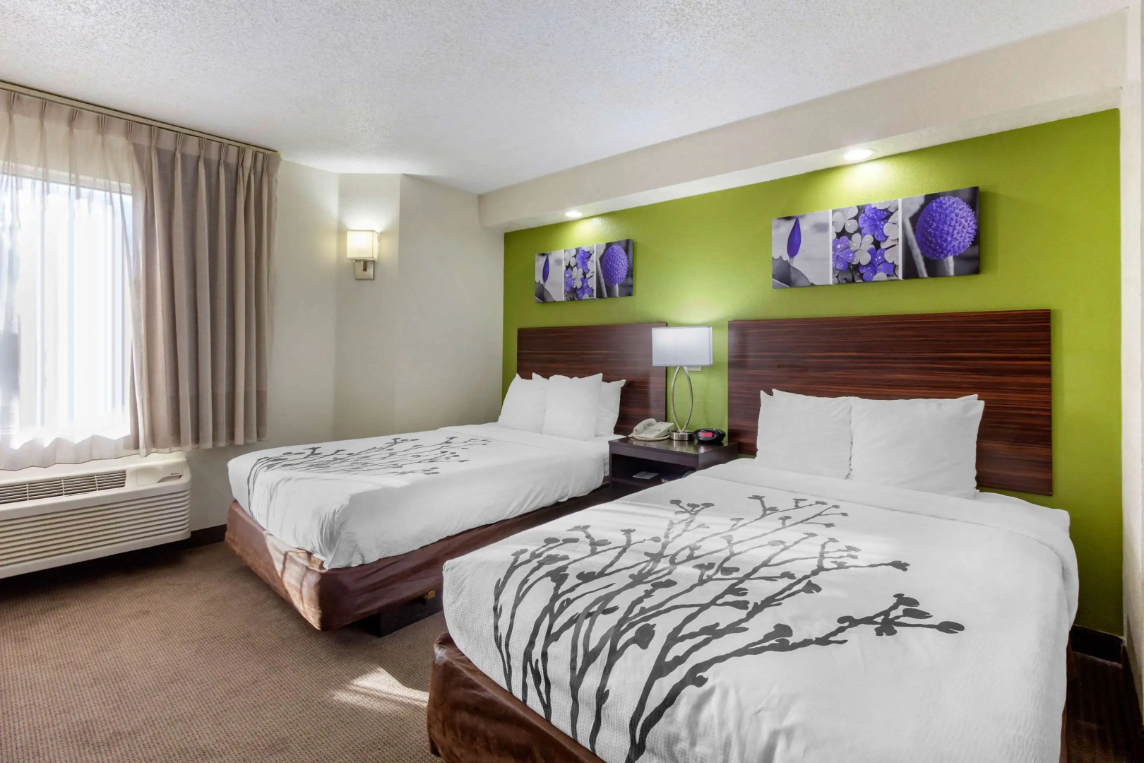 Sleep Inn near Busch Gardens/USF