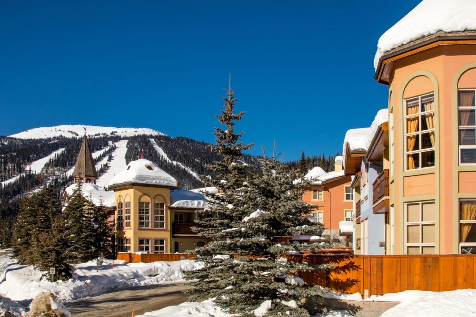 Crystal Forest by Bear Country