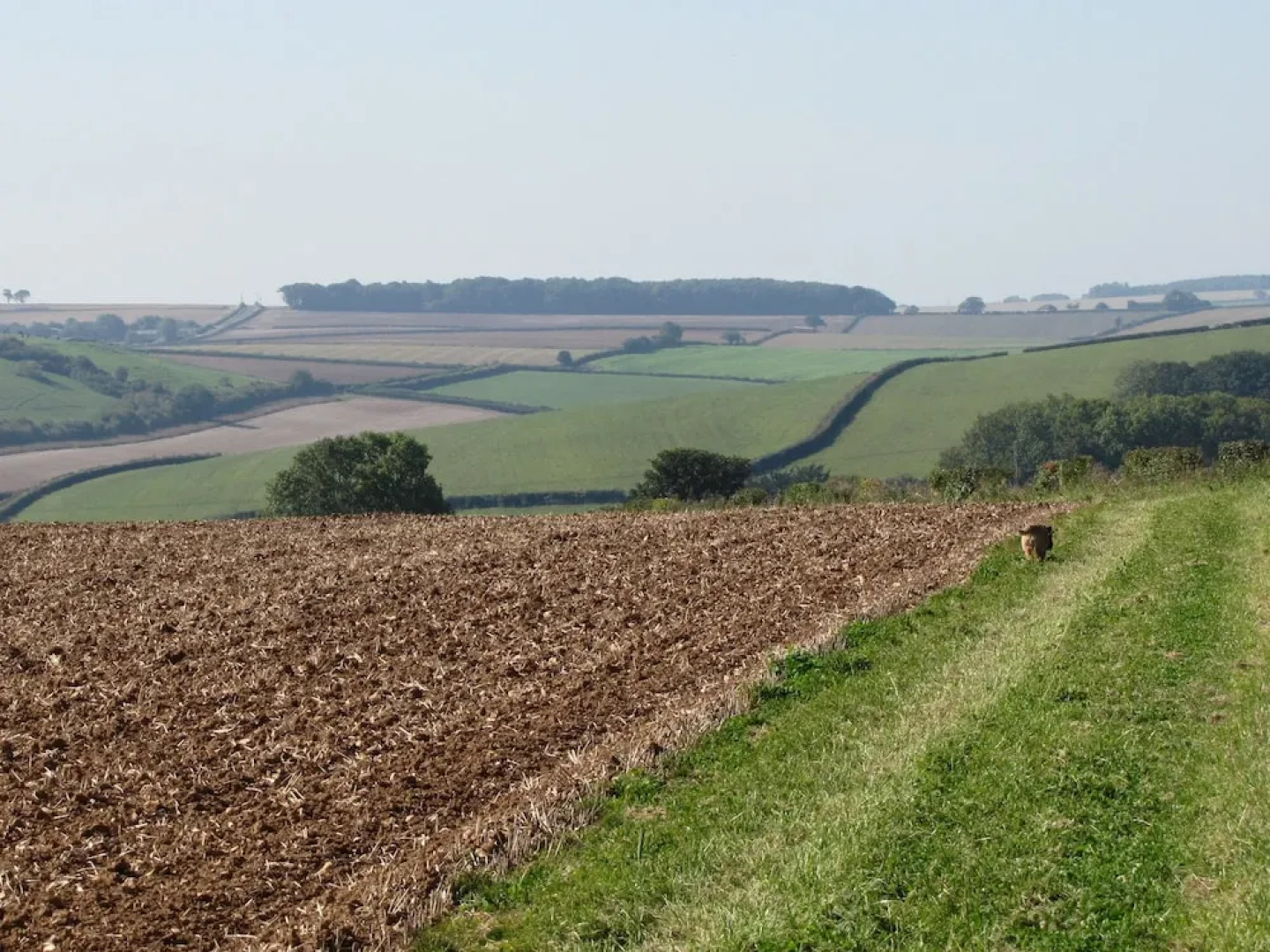 The Granary and Teals Den at Carters Barn Farm