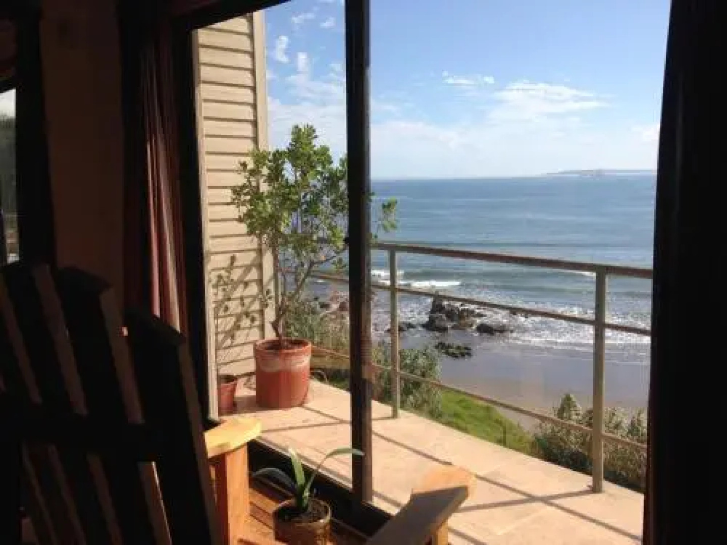 Pingüino En La Roca Cabañas