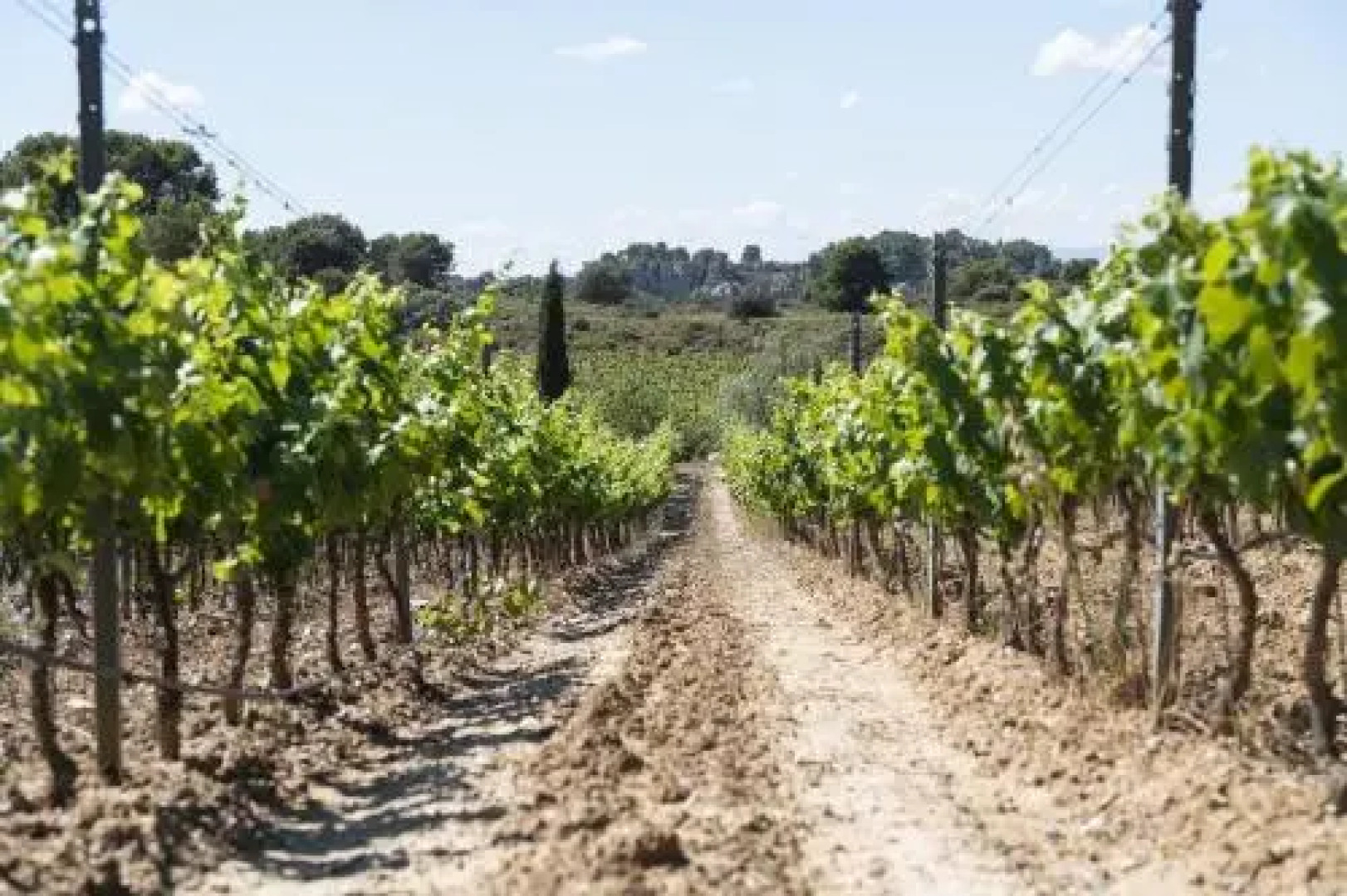 Domaine de la Ramade