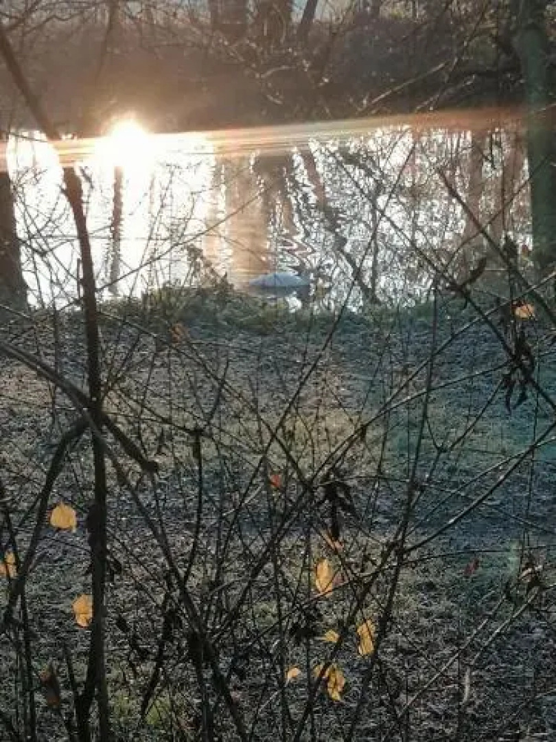 Zimmer zur ehemaligen Weinstube