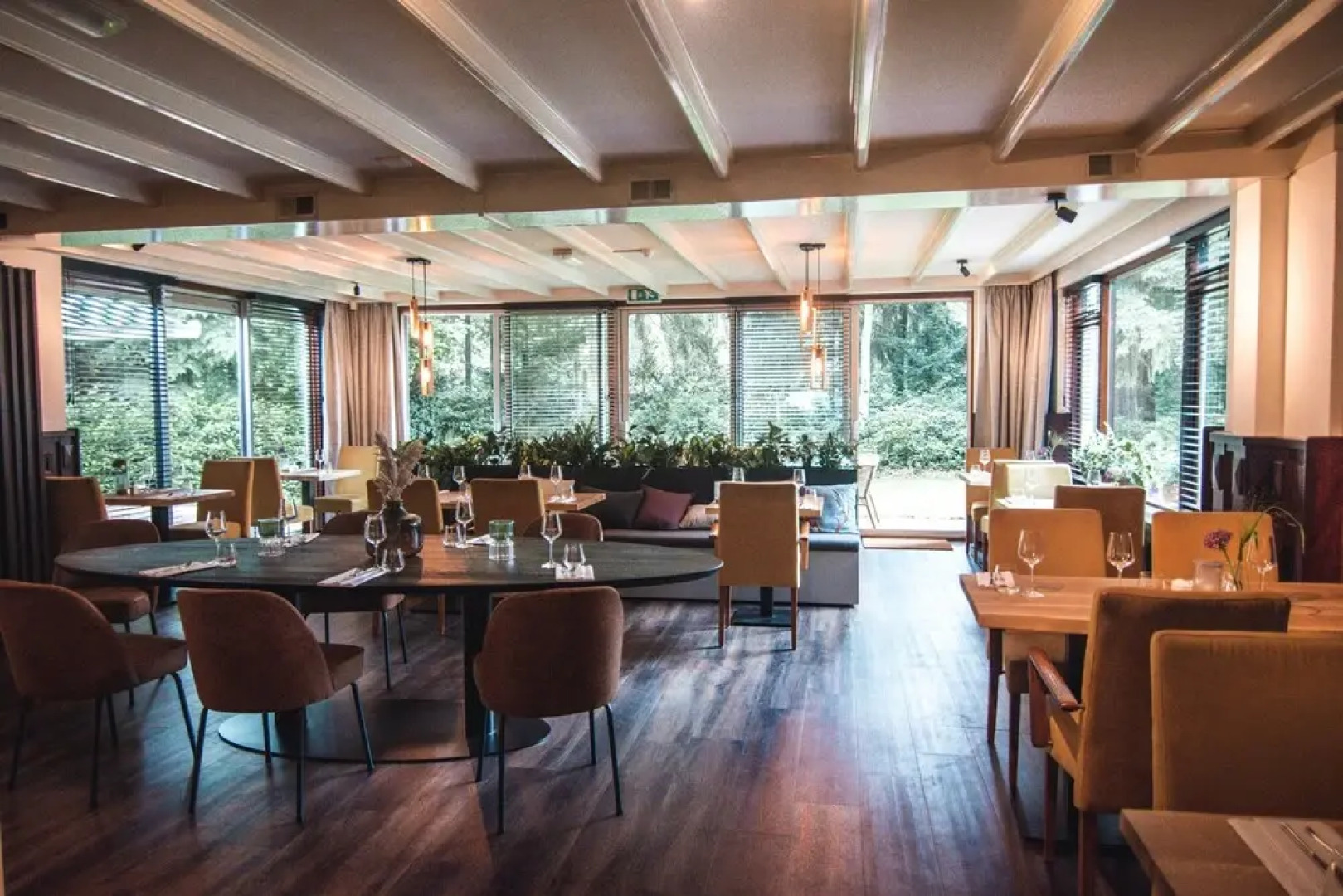 Witte Berken Natuurhotel