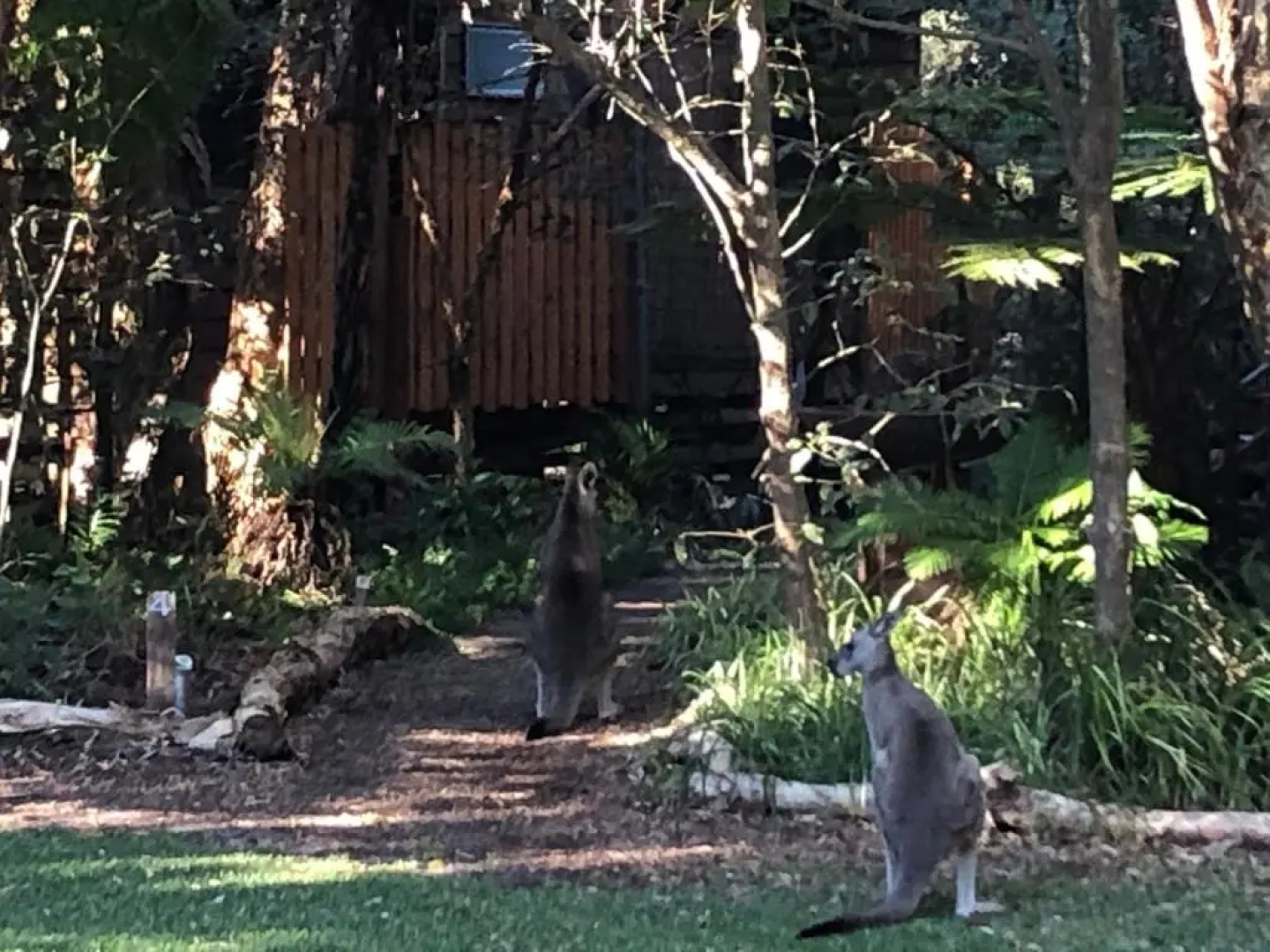 Wanderers Retreat Port Stephens