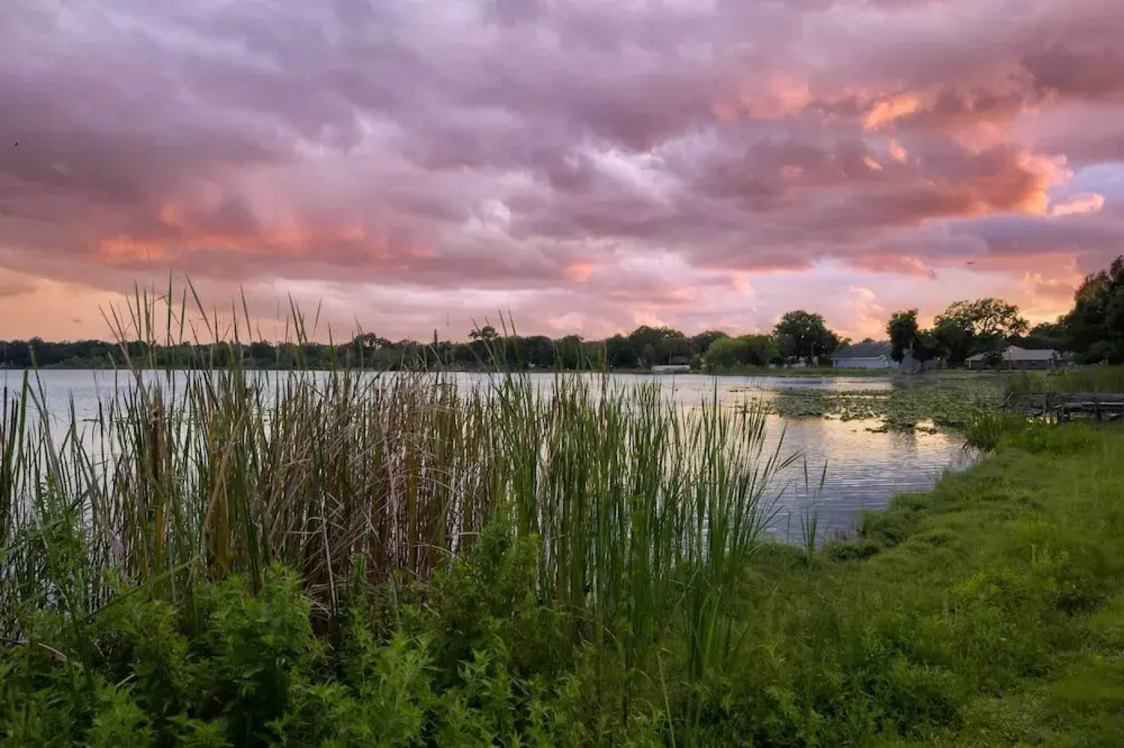 Hook, Line & Leisure: Lakefront Gem, 2 Mi to Dtwn