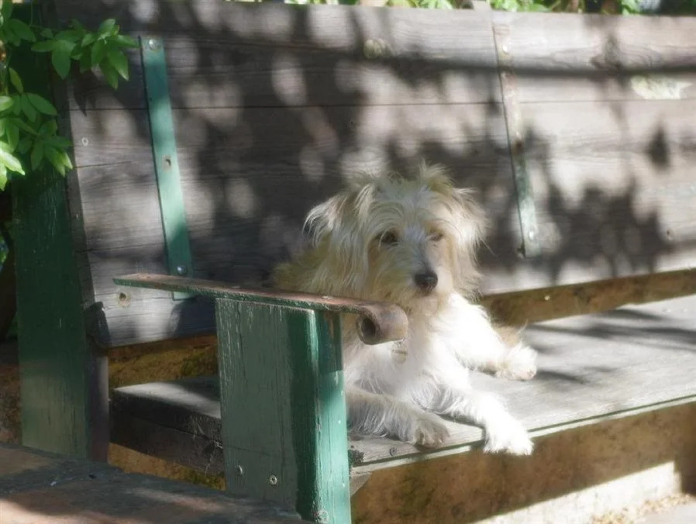 Sidsmums Travellers Retreat