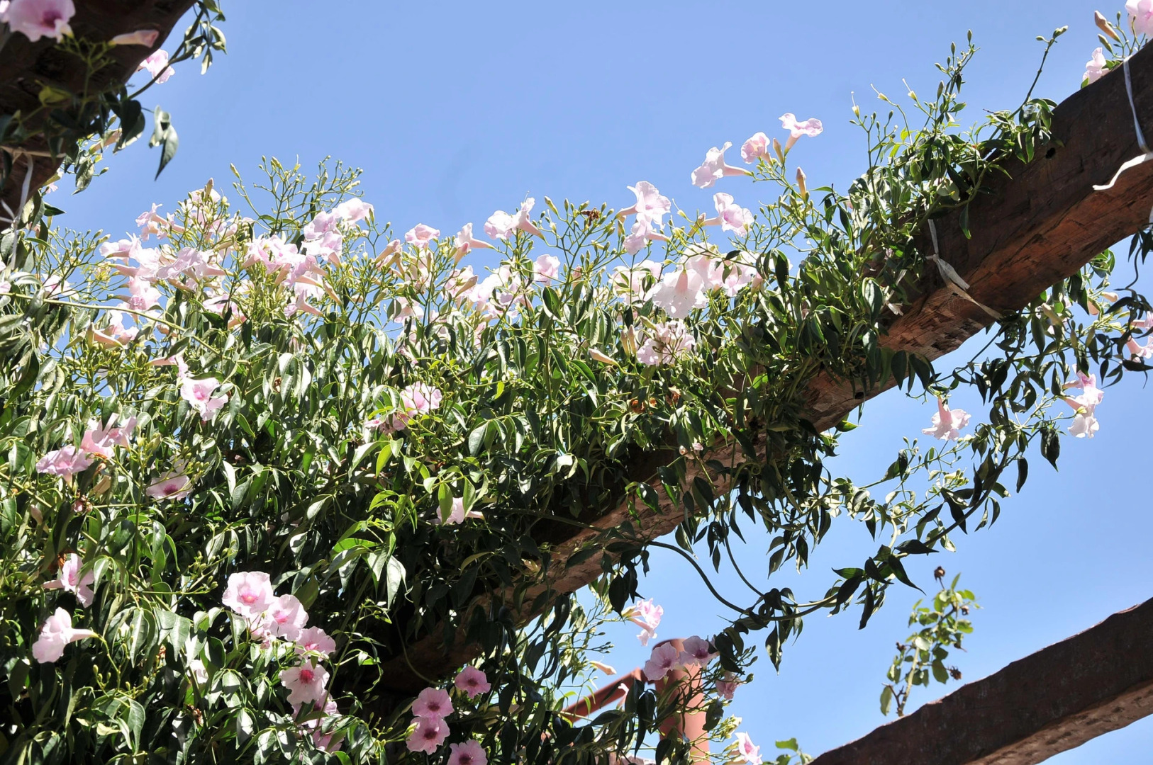 Hotel Mirador de las Sierras