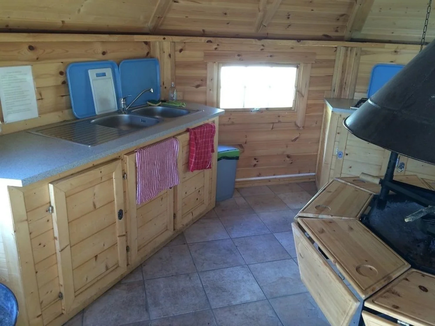 Voler Avec les Oiseaux