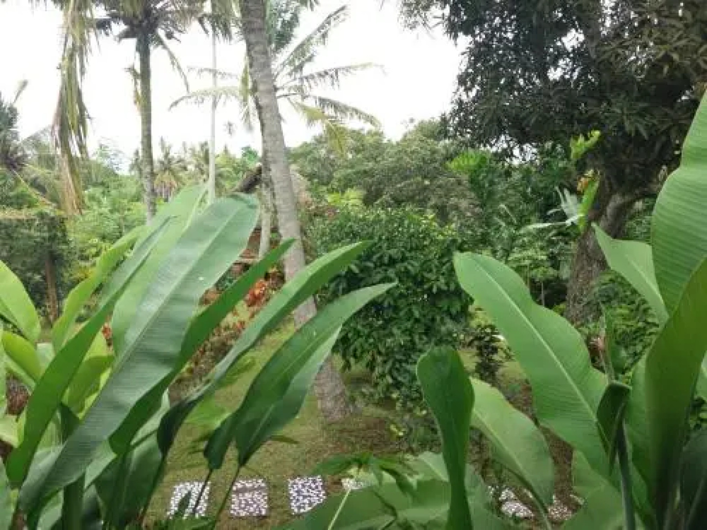 Villa Gede Batulumbang