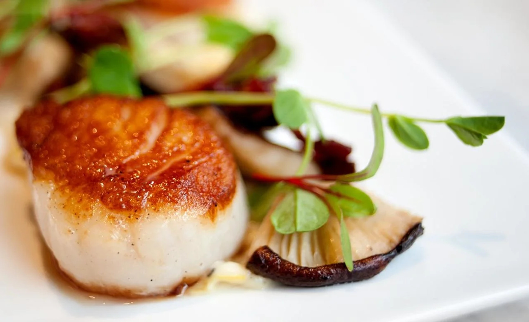 The Madison Concourse Hotel and Governor's Club