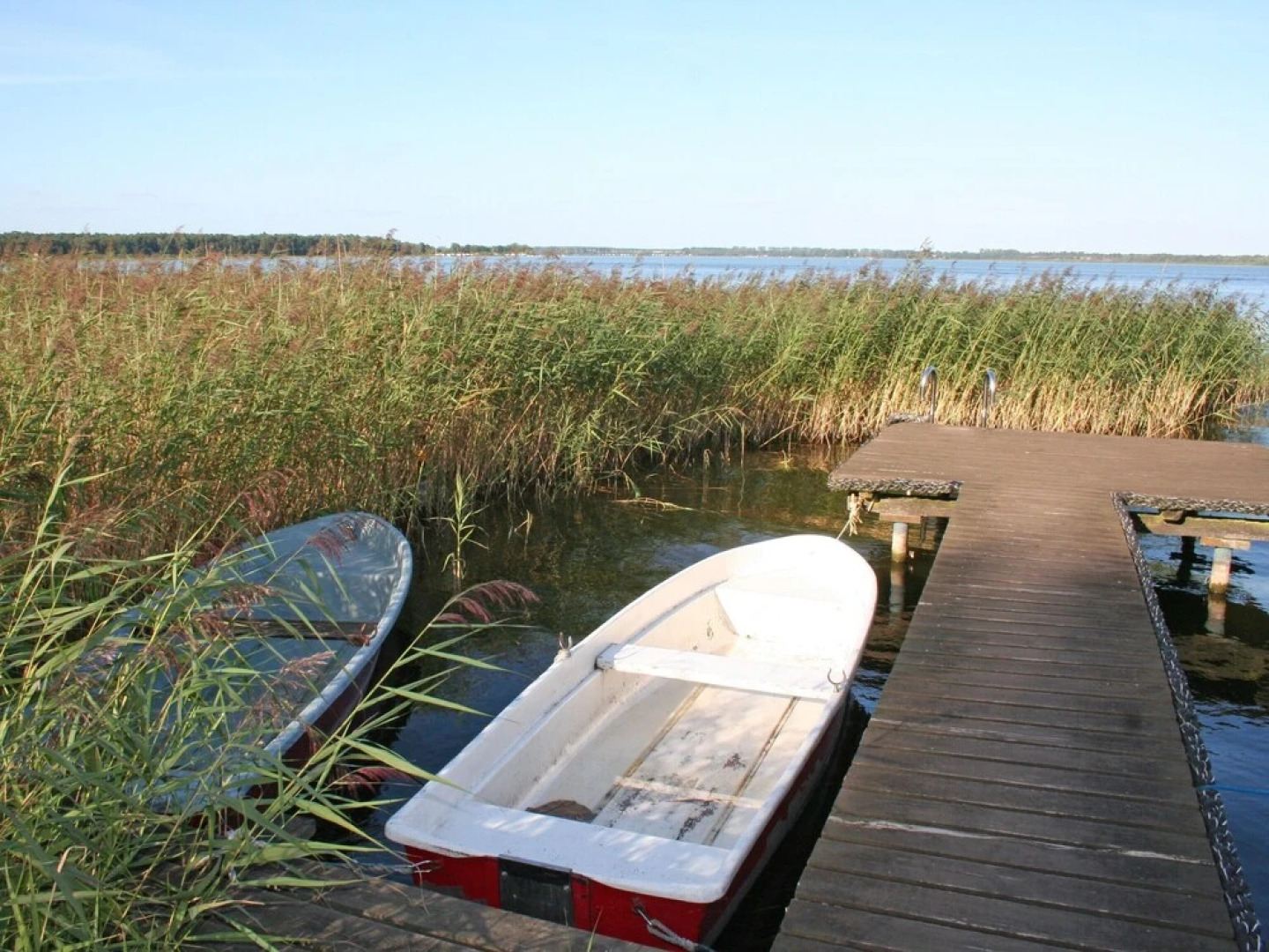 Ilonas Seeblick - Das Schilfhaus