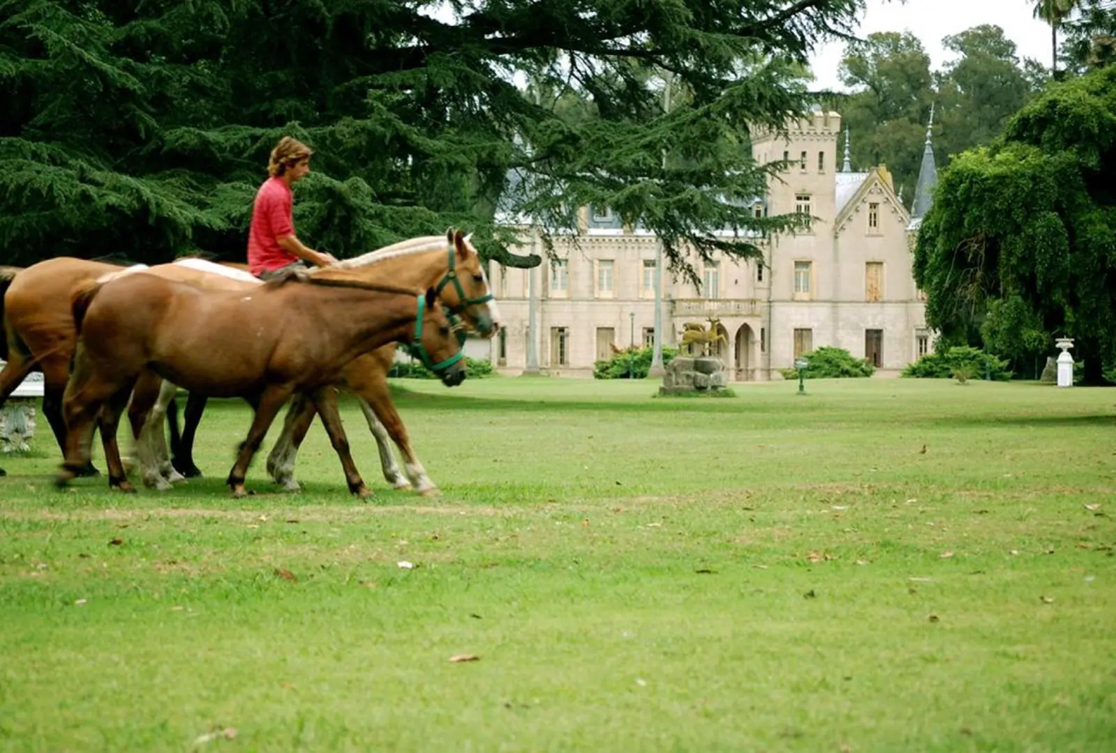 Estancia la Candelaria