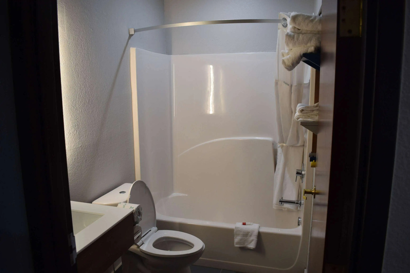 Microtel Inn & Suites by Wyndham Stockbridge/Atlanta I-75