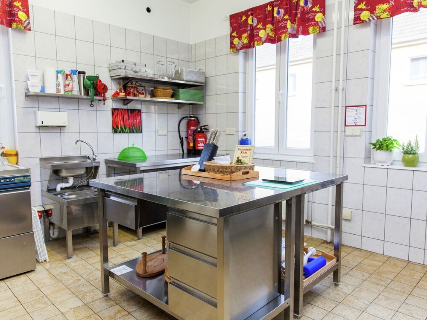 Amazing Holiday Home Directly on the Rhine With Roof Terrace and a Large Garden