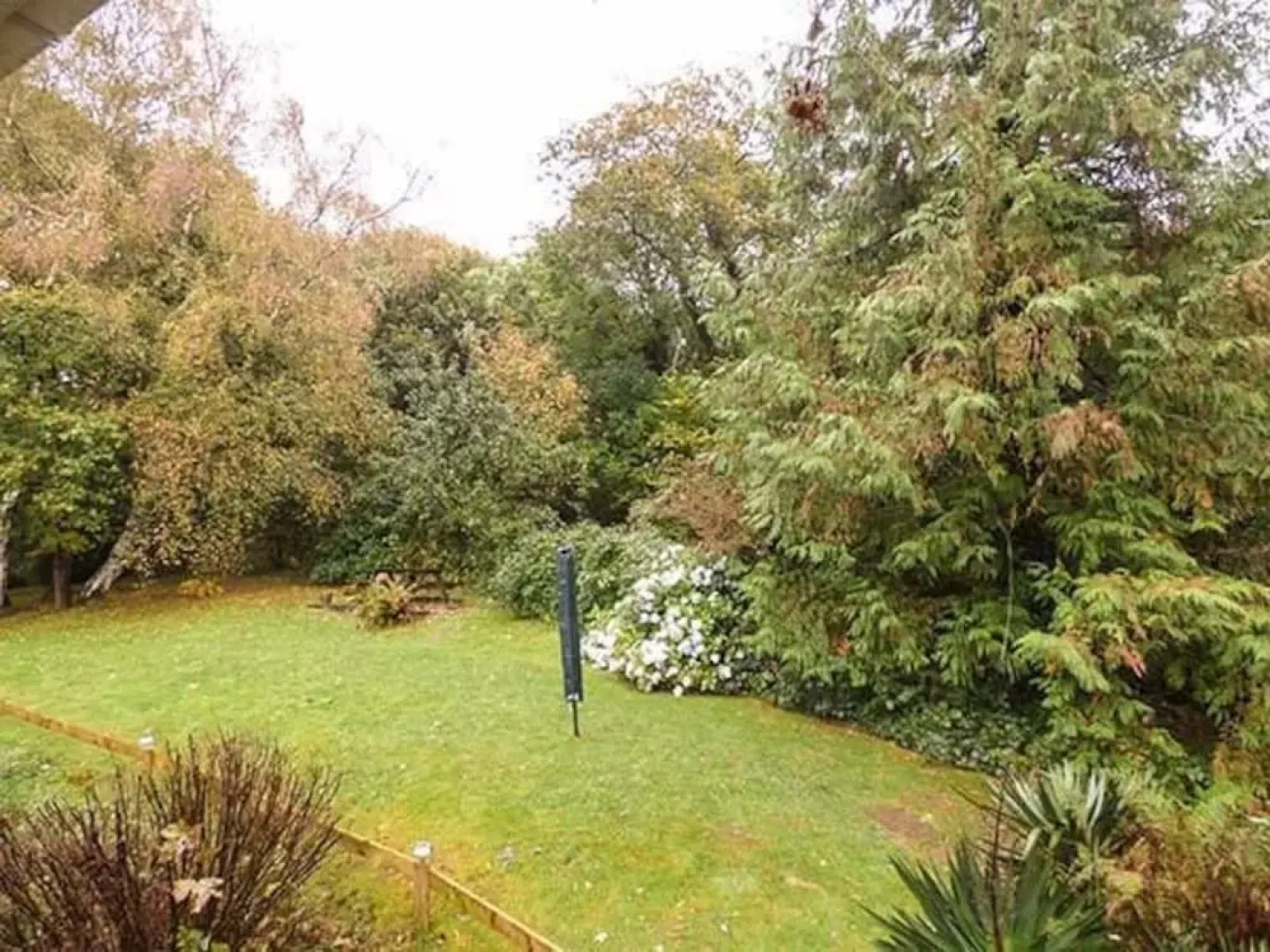 Apartment 4 Dolgoch Falls