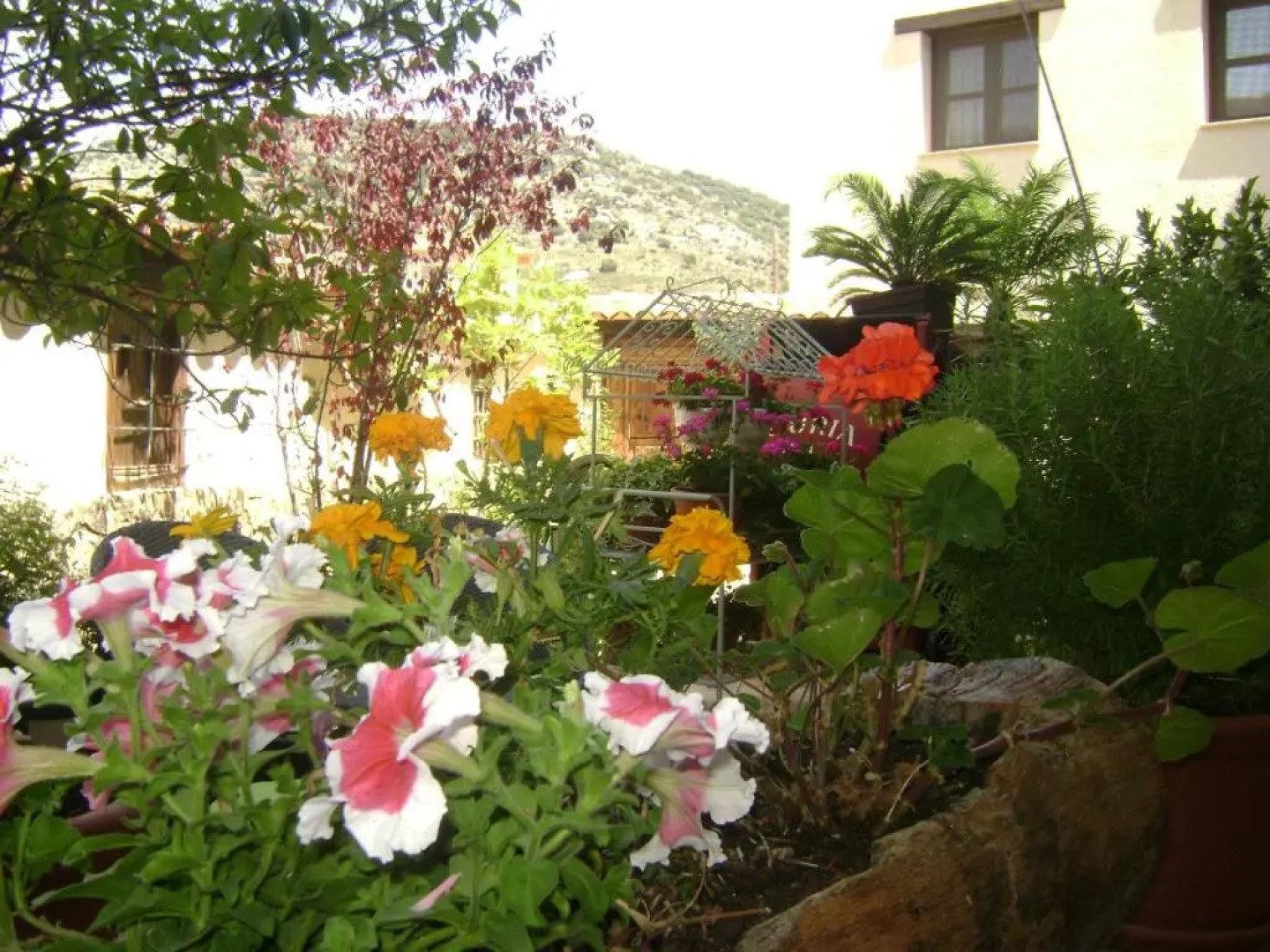 Apartamentos Rurales La Muralla II