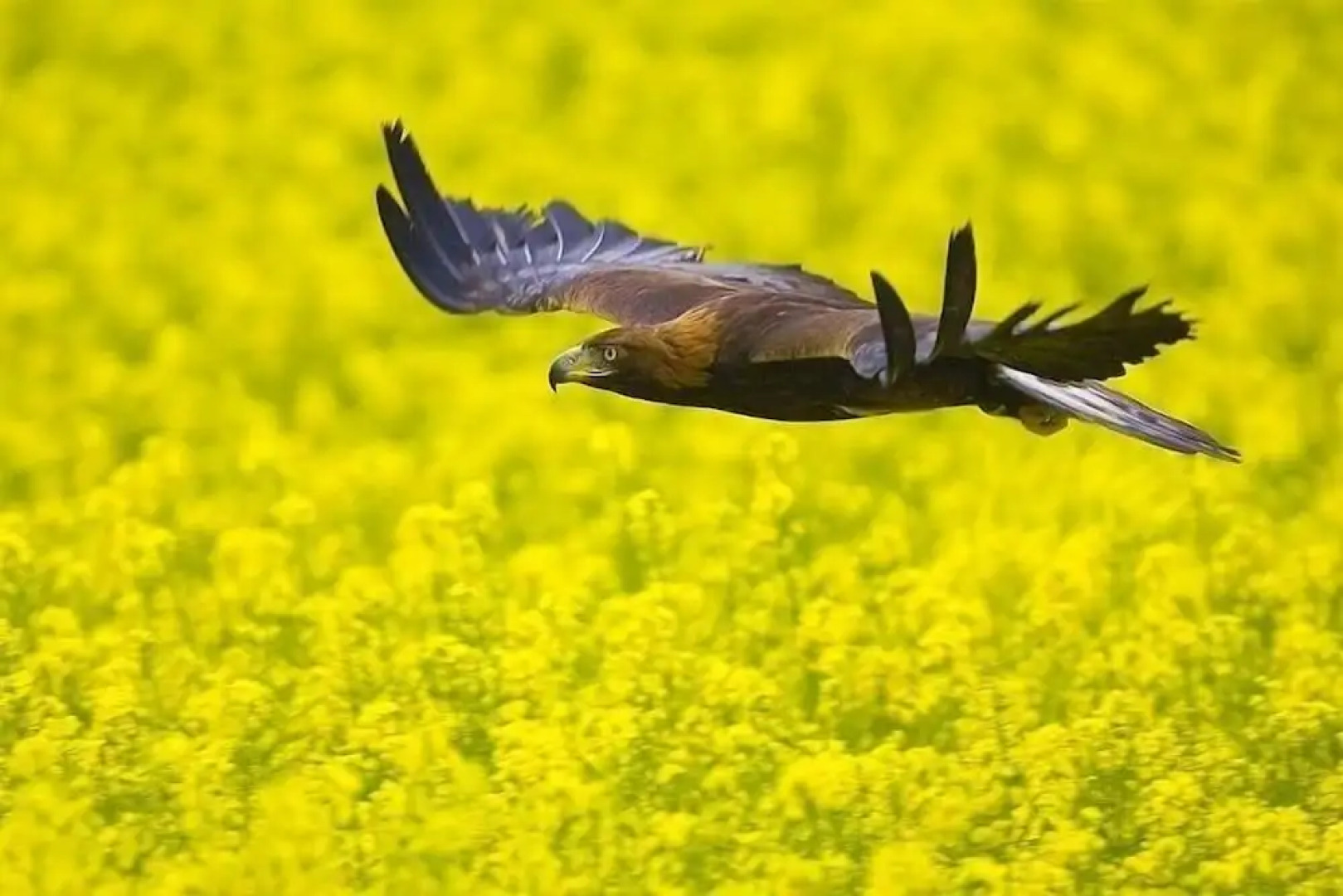 Schmankerl Hotel Bauer