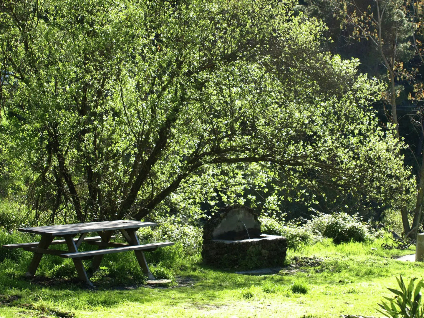 Lovely Cottage in Alcaucín near Sierra Tejeda Natural Park