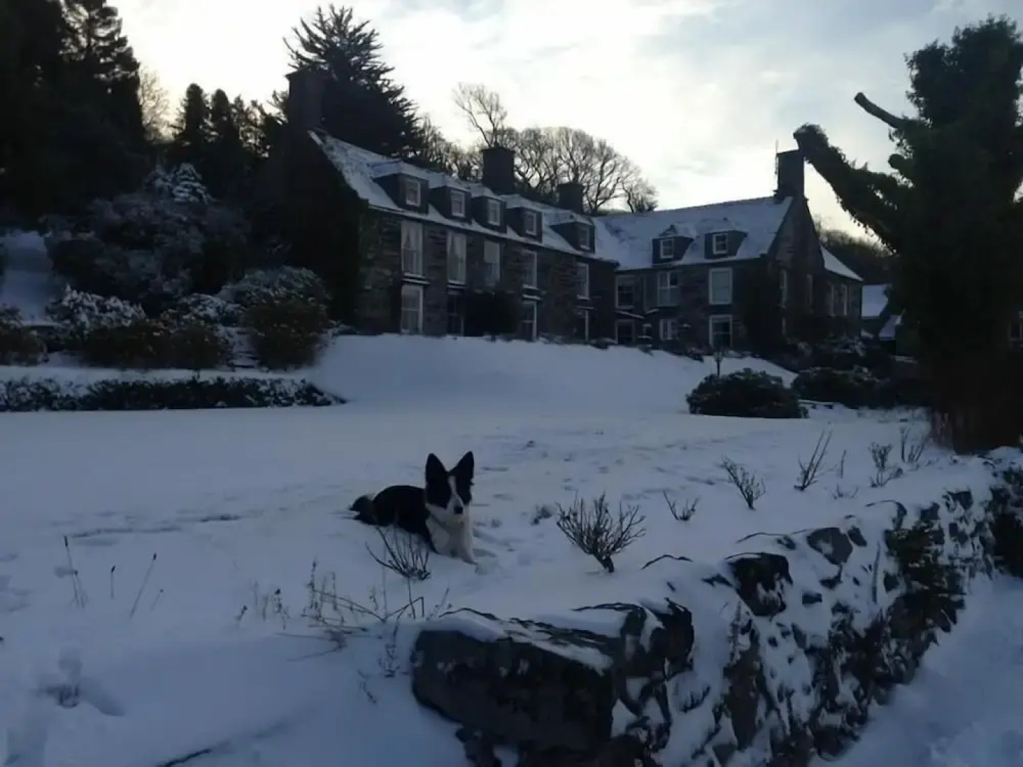 Maes Y Neuadd Country House