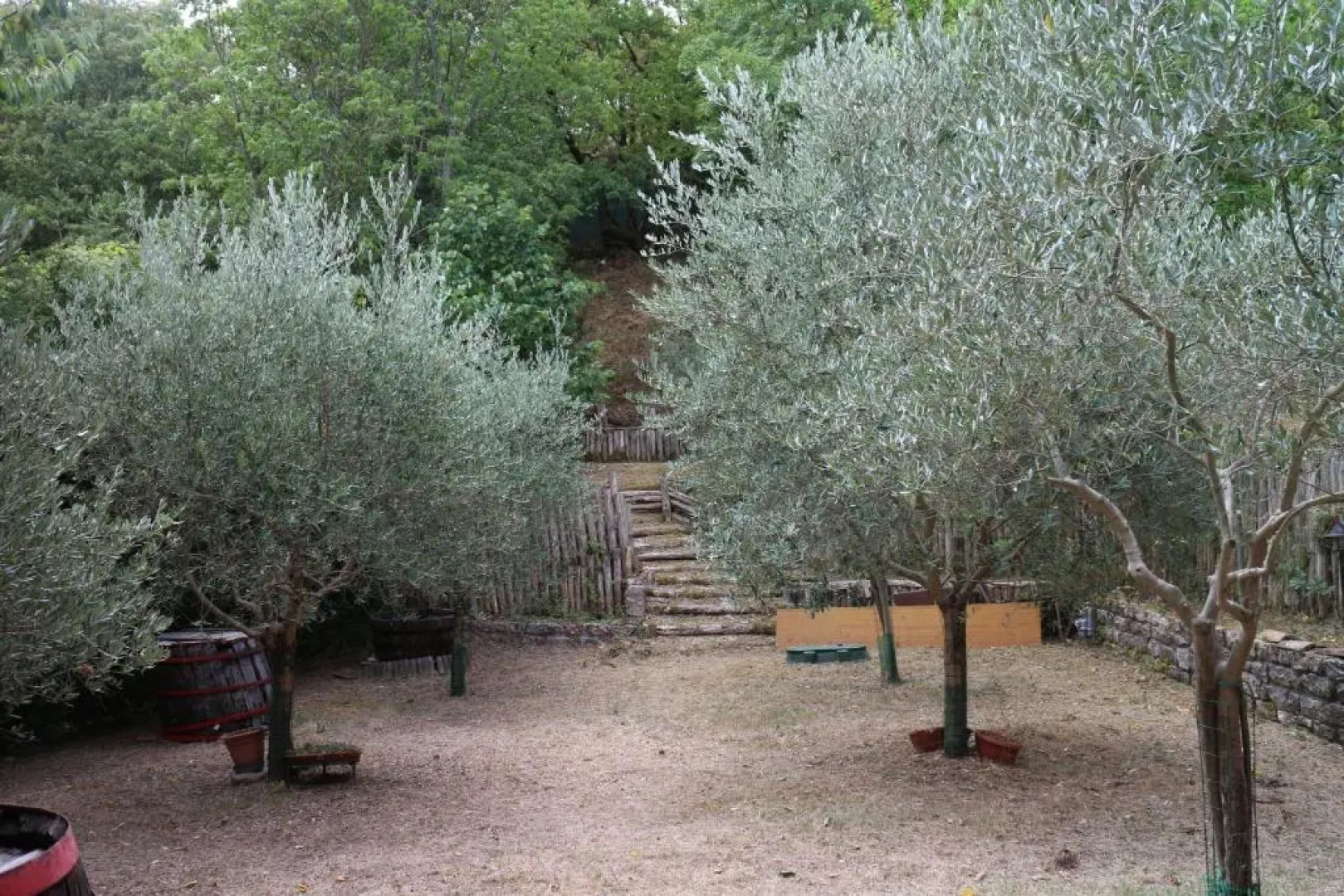 Analogic Tour - Appartamenti nel Borgo