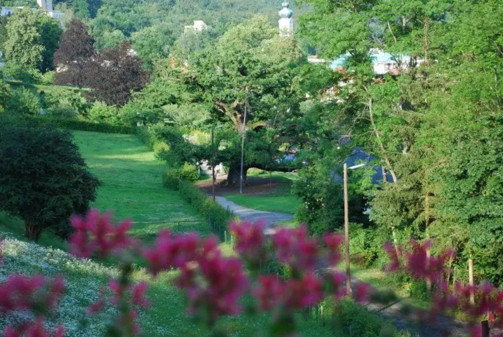 Rhön Hotel Waldcafé St. Georg