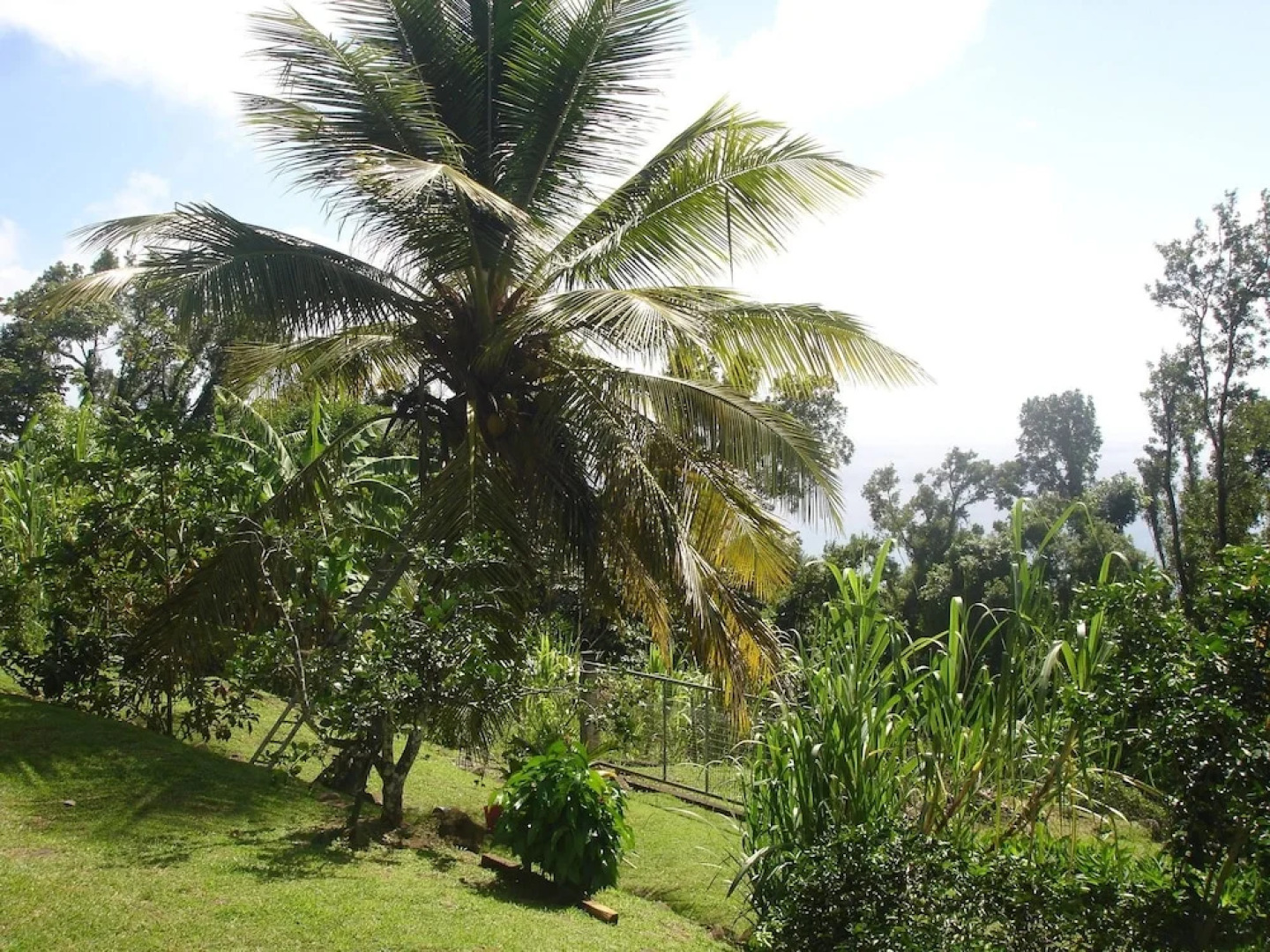 Apartment With in Sainte luce With Wonderful sea View En