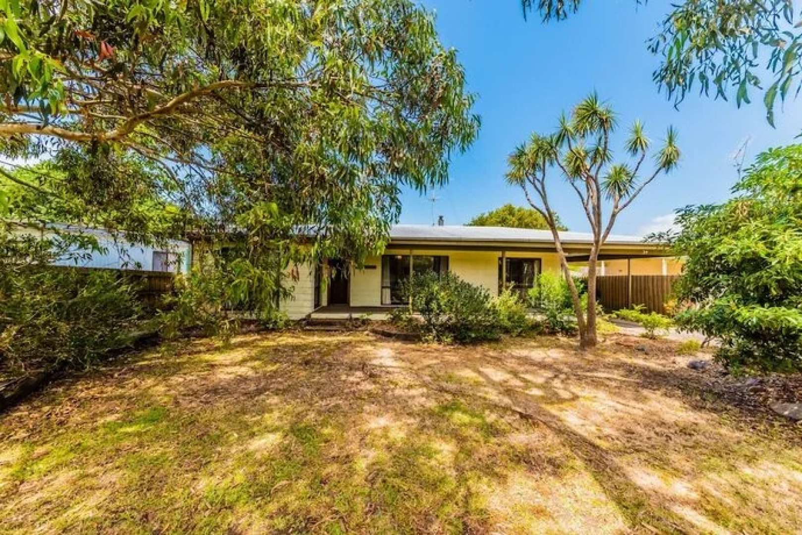 Driftwood On Anderson