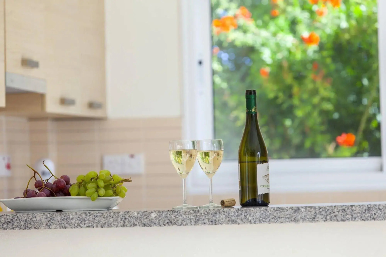 Protaras Delfini Villas