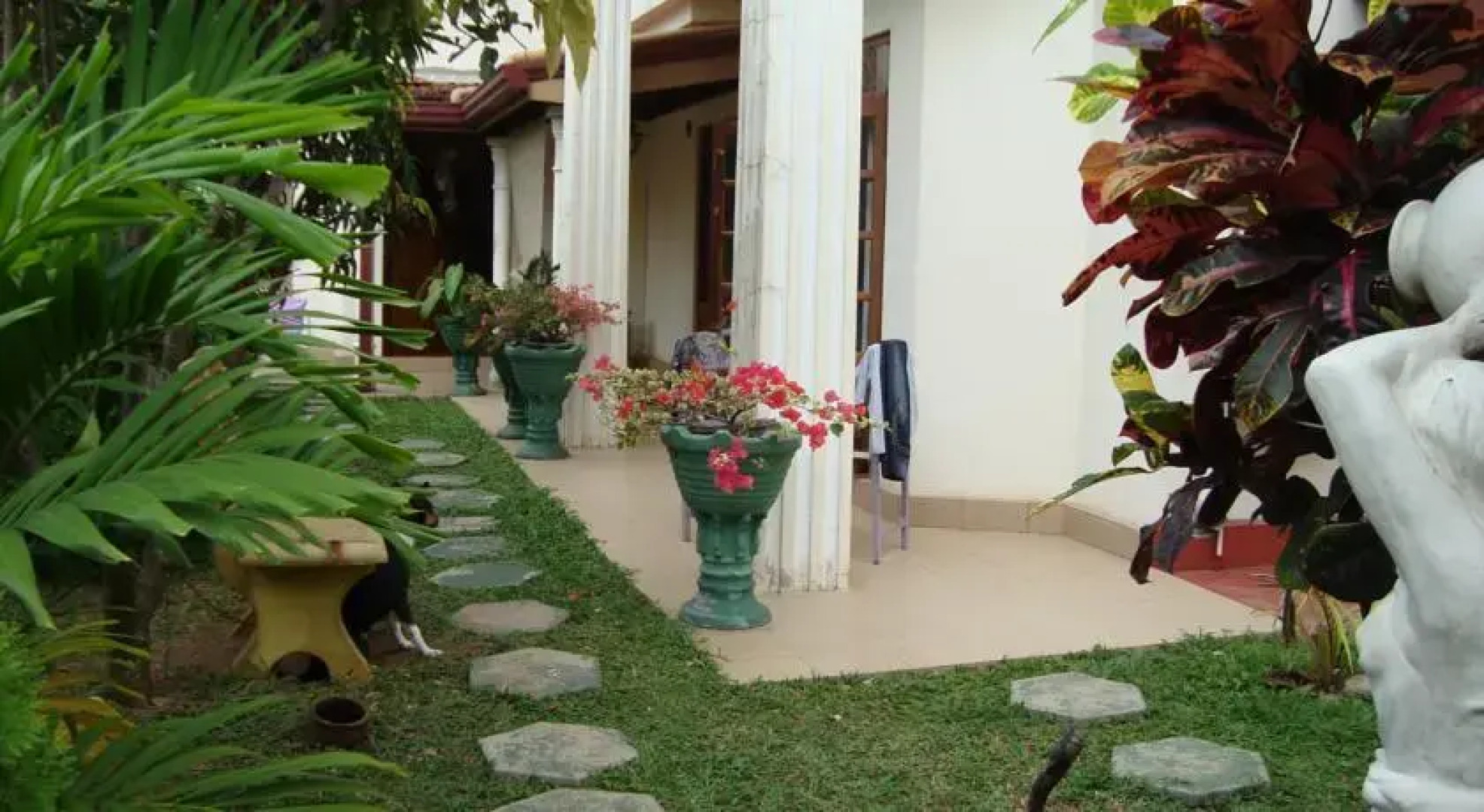 Luxury Exotic Apartments