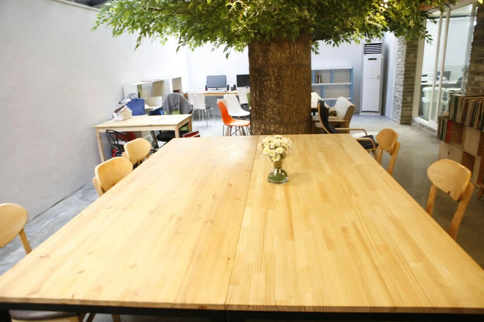 Twin Rabbit Guesthouse