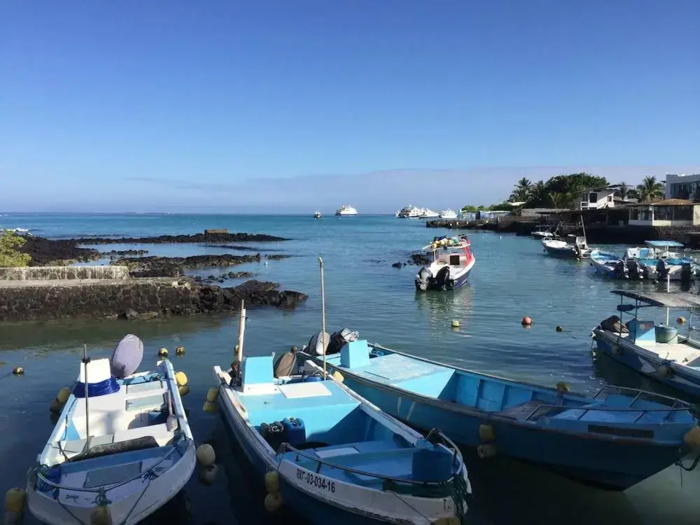 Hotel Palace Galapagos