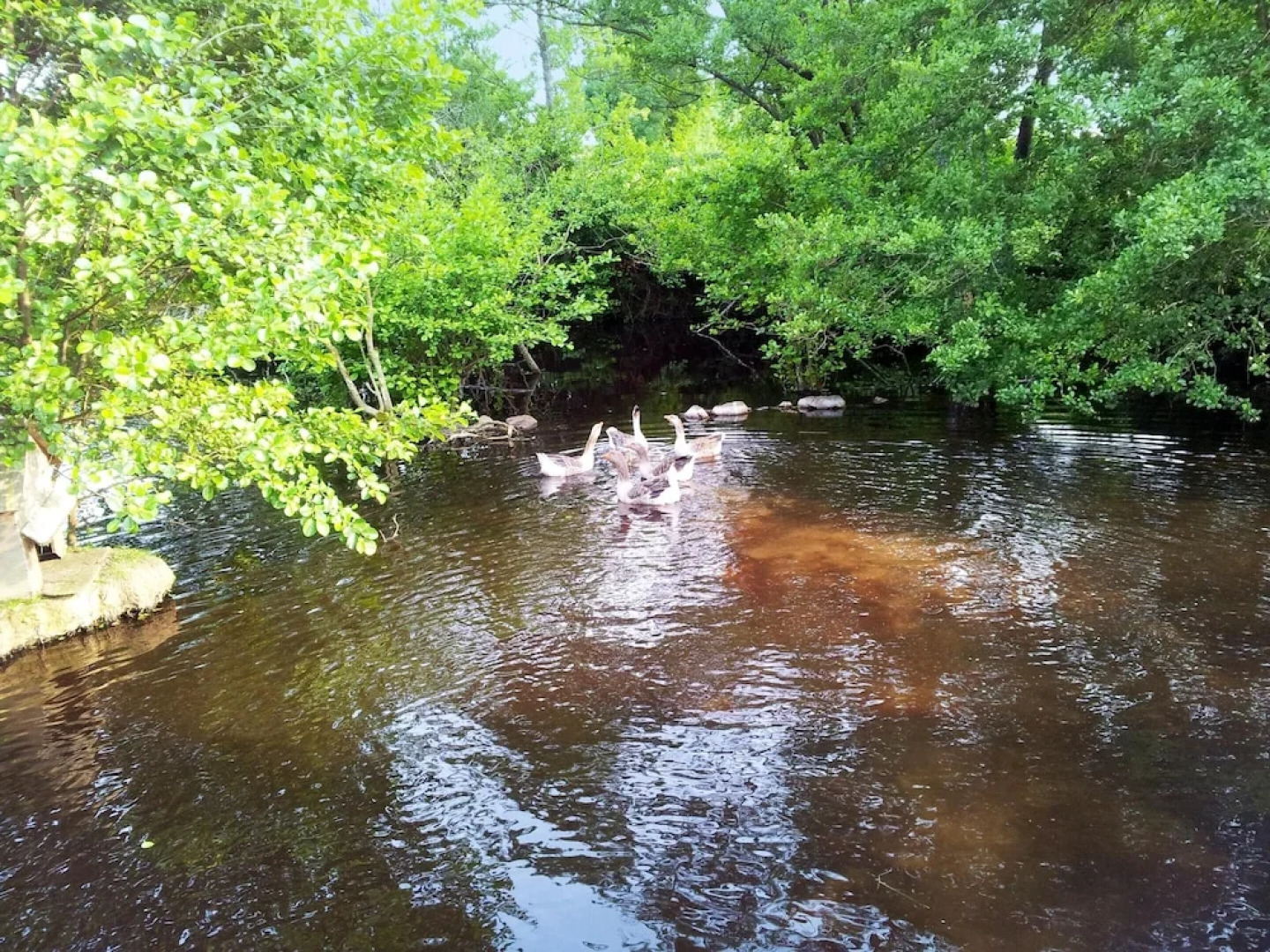 House With 3 Bedrooms in La Boissière-des-landes, With Enclosed Garden