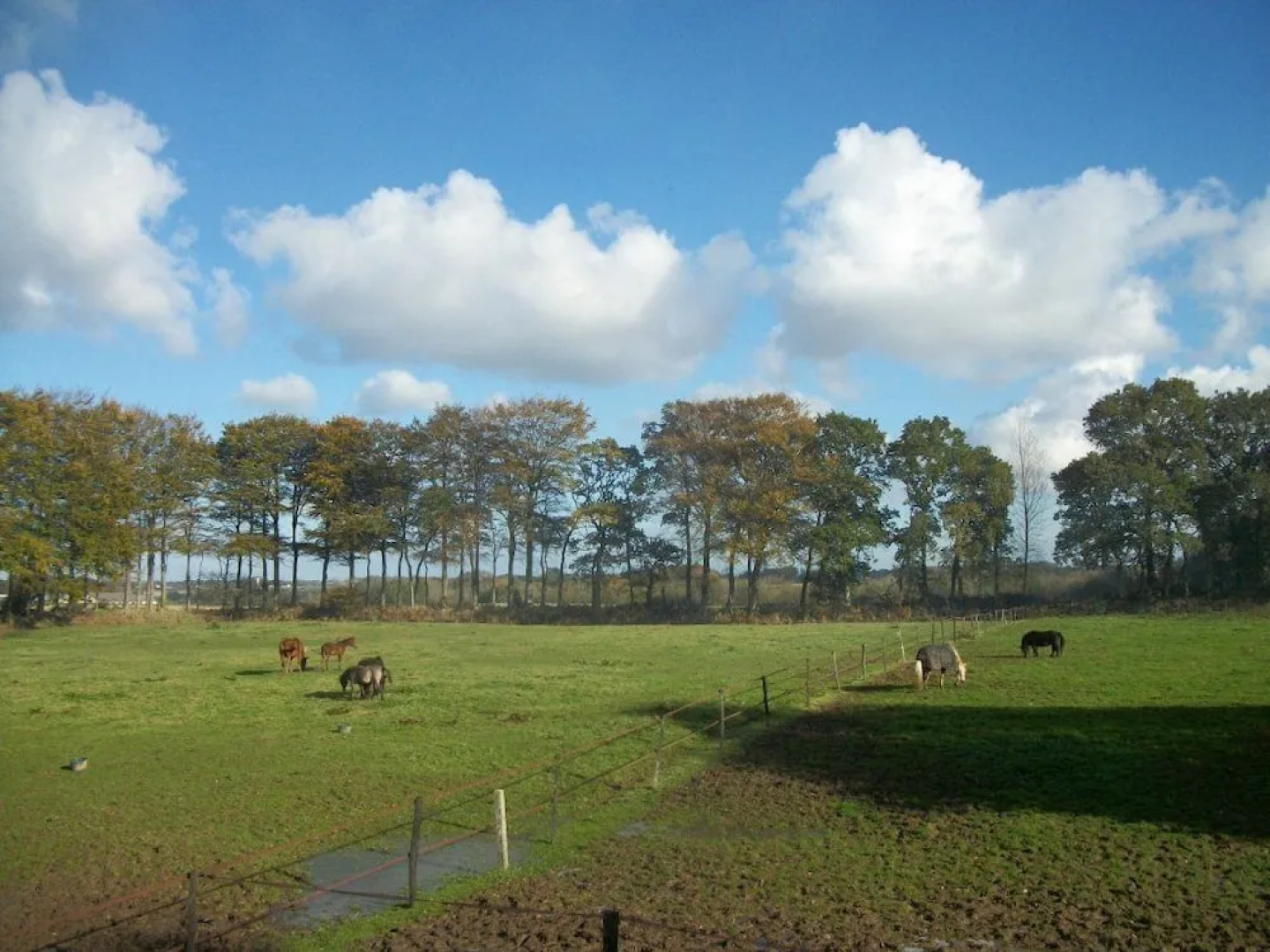 Le Manoir de Briquedalles