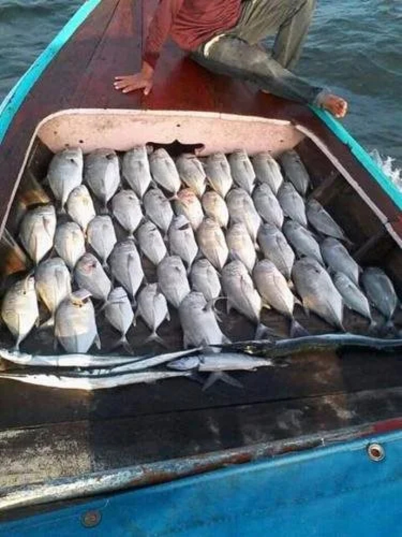 Cashew Nut Bungalow, Ko Mook